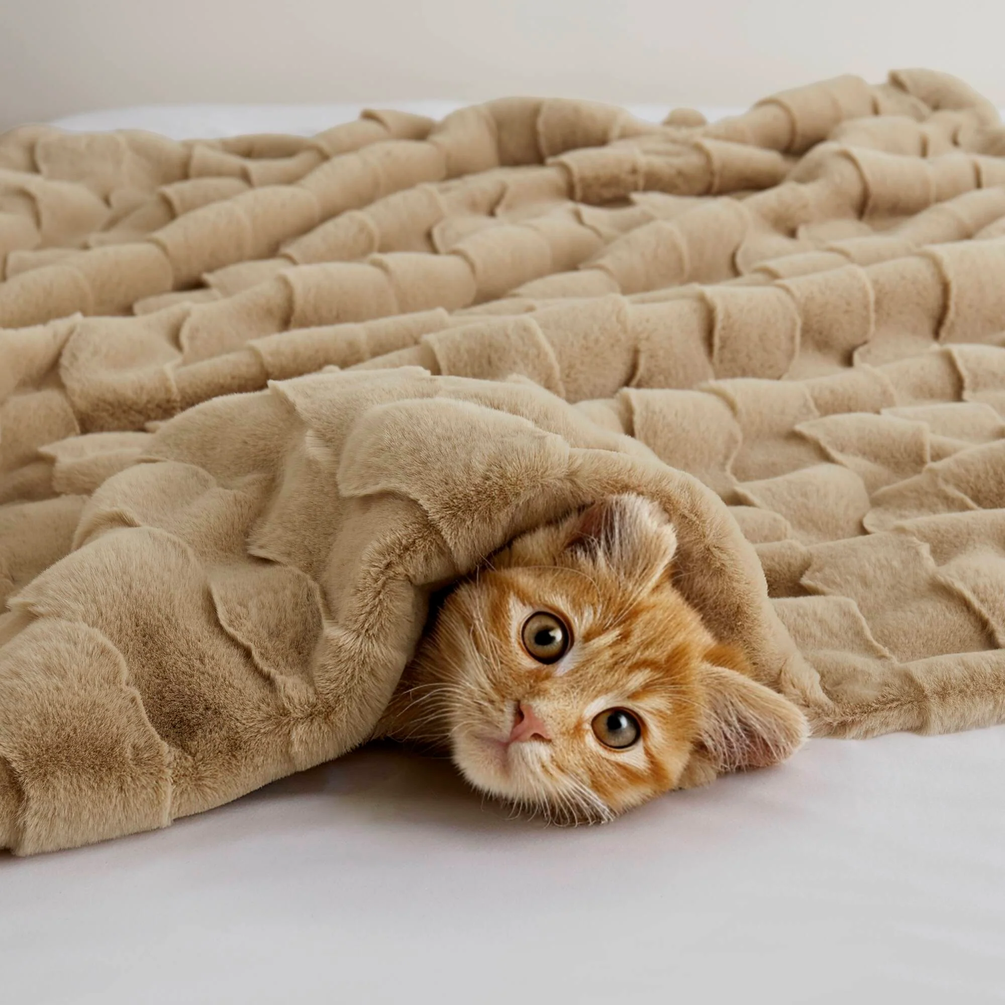 Vivienne Faux Fur Throw - Image 33